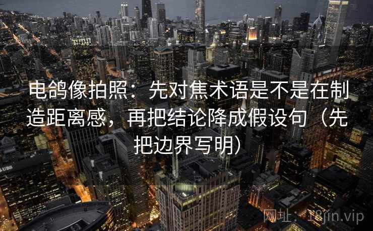 电鸽像拍照:先对焦术语是不是在制造距离感,再把结论降成假设句(先把边界写明)